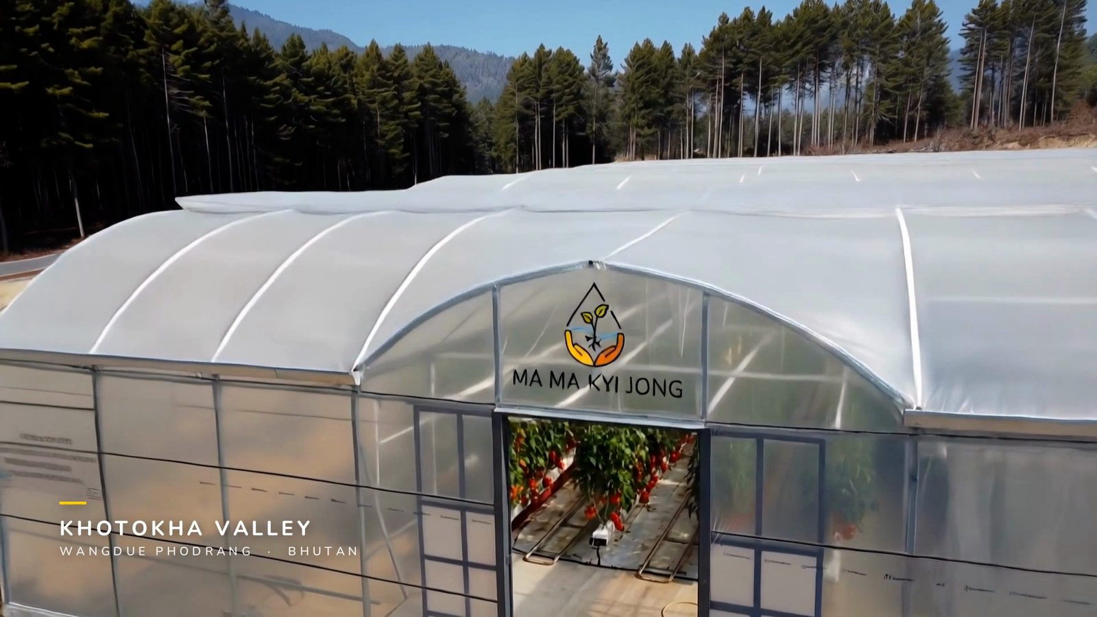 The MaMa Kyi Jong greenhouse in the Khotokha valley, its door open onto rows of vines